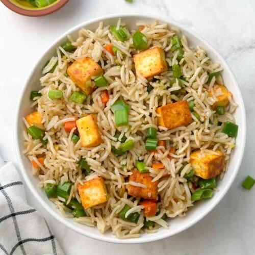 best veg fried rice in panruti